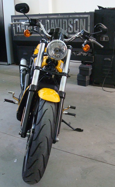 V-ROD MARCELO 1.jpg