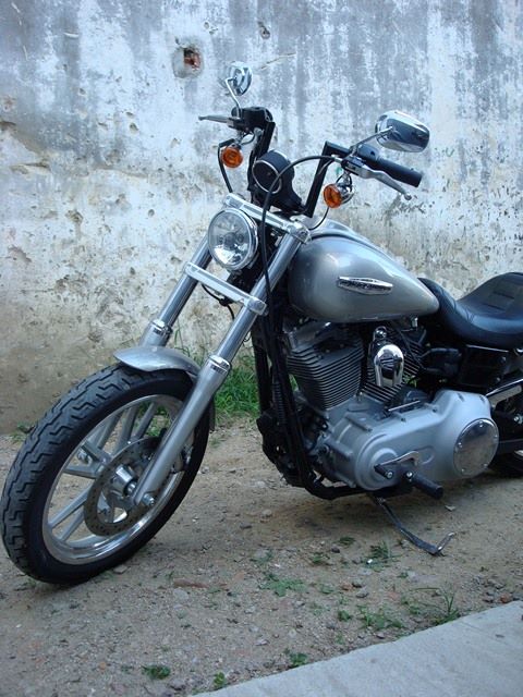 01.jpg