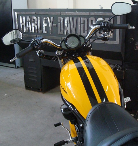 V-ROD MARCELO 2.jpg