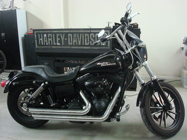 Dyna Tanner.JPG