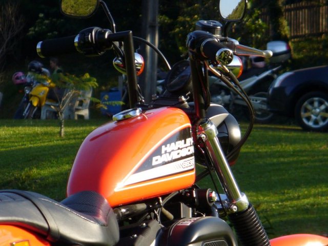 Sportster r.jpg